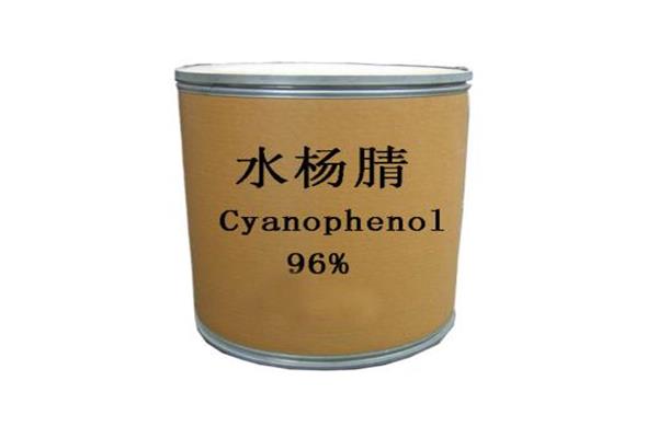 水杨腈